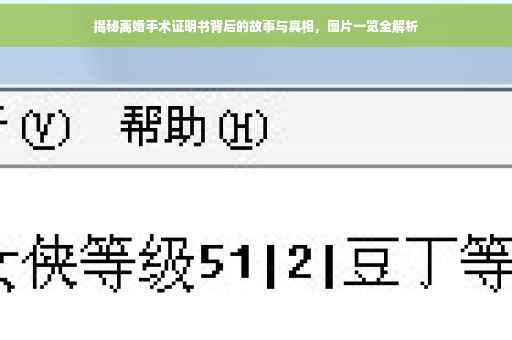 揭秘离婚手术证明书背后的故事与真相，图片一览全解析