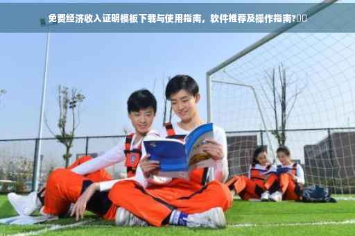 免费经济收入证明模板下载与使用指南，软件推荐及操作指南?⚡️