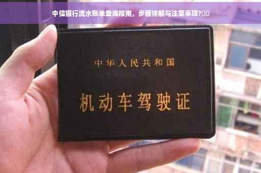中信银行流水账单查询指南，步骤详解与注意事项?⚡️