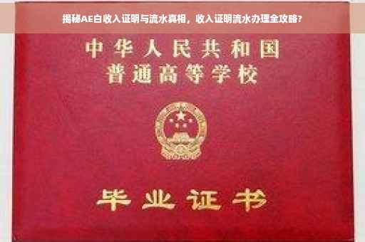 揭秘AE白收入证明与流水真相，收入证明流水办理全攻略?