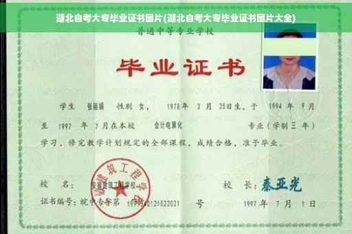 湖北自考大专毕业证书图片(湖北自考大专毕业证书图片大全)