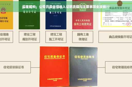 深度解析，公司开具低保收入证明流程与注意事项全攻略??