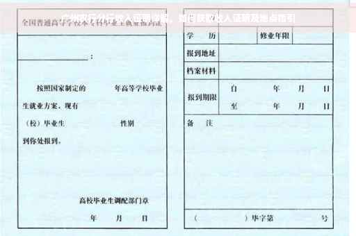 广州农行分行收入证明详解，如何获取收入证明及地点指引