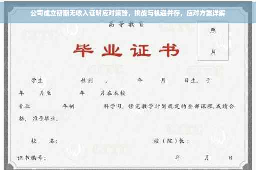 公司成立初期无收入证明应对策略，挑战与机遇并存，应对方案详解