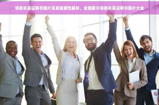 领养关系证明书图片及其重要性解析，全面展示领养关系证明书图片大全
