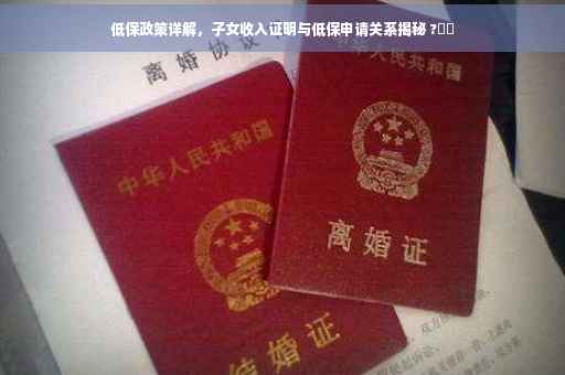 低保政策详解，子女收入证明与低保申请关系揭秘 ?⚡️