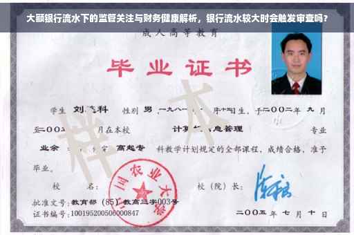 大额银行流水下的监管关注与财务健康解析，银行流水较大时会触发审查吗？
