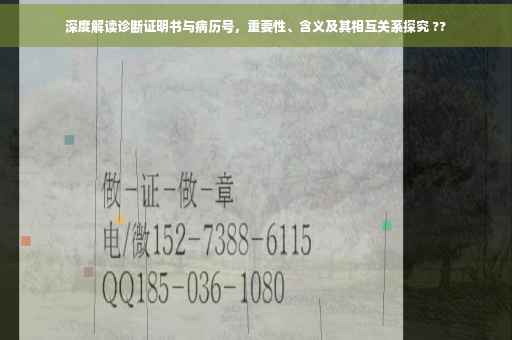 深度解读诊断证明书与病历号，重要性、含义及其相互关系探究 ??