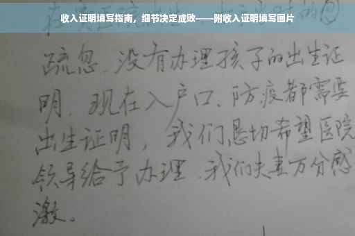收入证明填写指南，细节决定成败——附收入证明填写图片