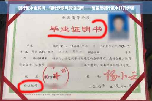 银行流水全解析，轻松获取与解读指南——附盖章银行流水打开步骤