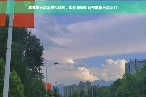 农业银行流水拉扯攻略，轻松掌握如何拉取银行流水??