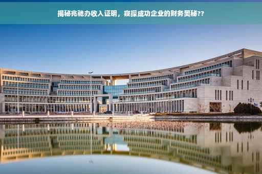 揭秘兆驰办收入证明，窥探成功企业的财务奥秘??