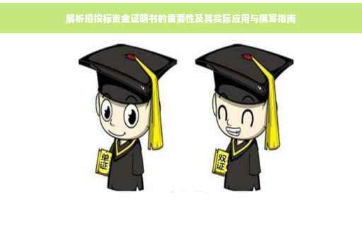 解析招投标资金证明书的重要性及其实际应用与撰写指南