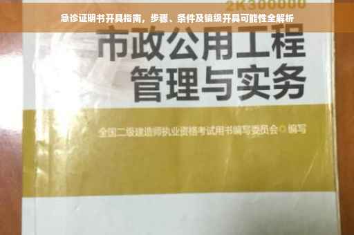 急诊证明书开具指南，步骤、条件及镇级开具可能性全解析