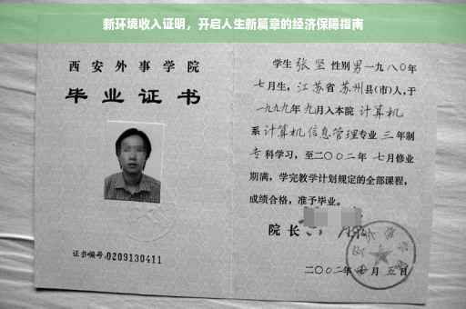 新环境收入证明，开启人生新篇章的经济保障指南