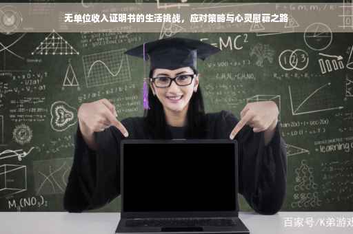 无单位收入证明书的生活挑战，应对策略与心灵慰藉之路