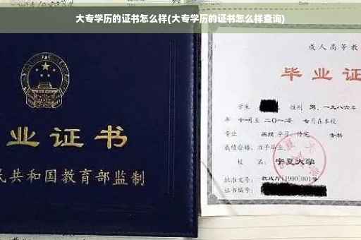 大专学历的证书怎么样(大专学历的证书怎么样查询)