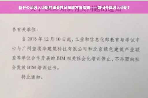 新开公司收入证明的重要性及获取方法指南——如何开具收入证明？