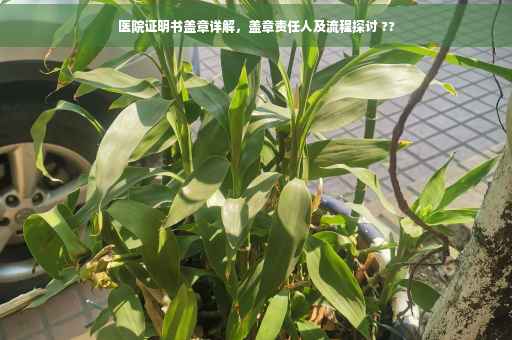 医院证明书盖章详解，盖章责任人及流程探讨 ??
