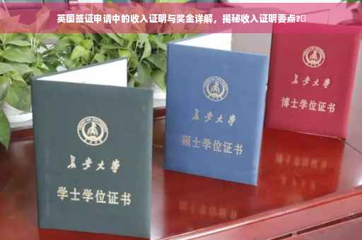 英国签证申请中的收入证明与奖金详解，揭秘收入证明要点?✨