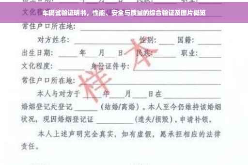 车辆试验证明书，性能、安全与质量的综合验证及图片概览