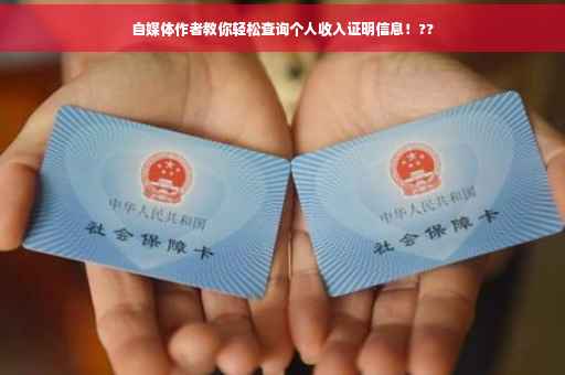 自媒体作者教你轻松查询个人收入证明信息！??