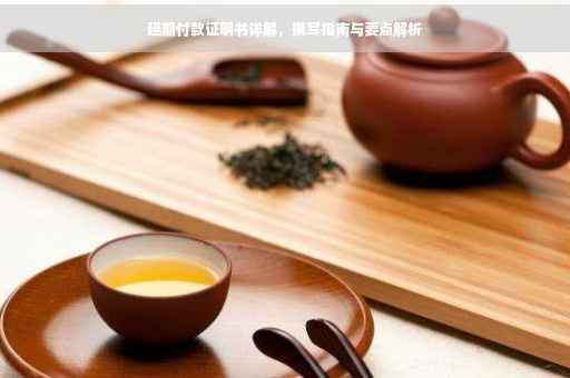延期付款证明书详解，撰写指南与要点解析