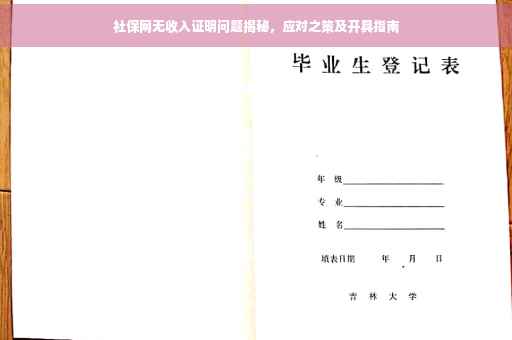 社保网无收入证明问题揭秘，应对之策及开具指南