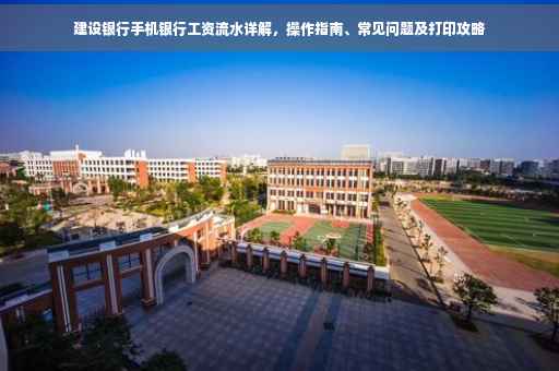 建设银行手机银行工资流水详解，操作指南、常见问题及打印攻略