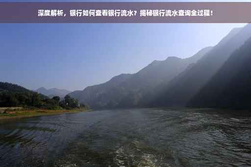 深度解析，银行如何查看银行流水？揭秘银行流水查询全过程！