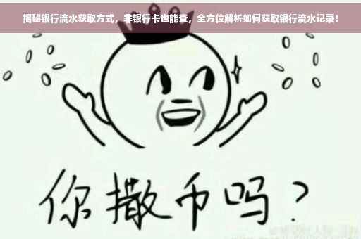 揭秘银行流水获取方式，非银行卡也能查，全方位解析如何获取银行流水记录！