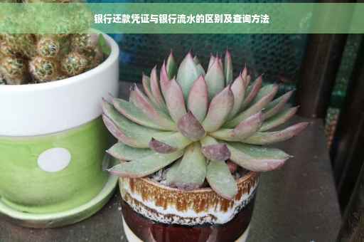 银行还款凭证与银行流水的区别及查询方法