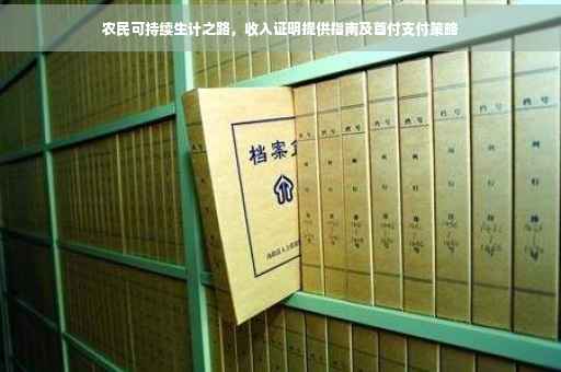 农民可持续生计之路，收入证明提供指南及首付支付策略