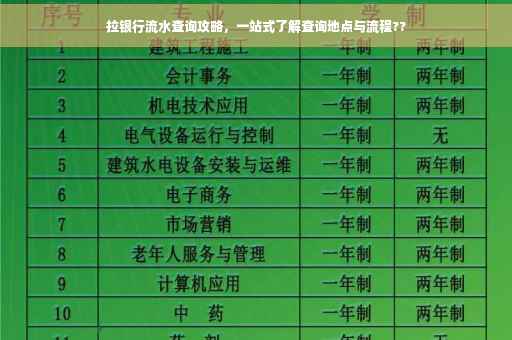 拉银行流水查询攻略，一站式了解查询地点与流程??