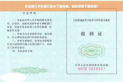 农业银行手机银行流水下载指南，轻松掌握下载流程?