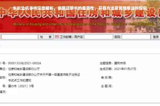 东航坠机事件深度解析，亲属证明书的重要性、开具方法及其情感波折探究