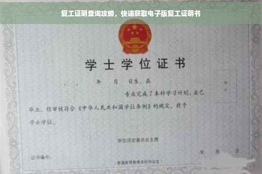 复工证明查询攻略，快速获取电子版复工证明书