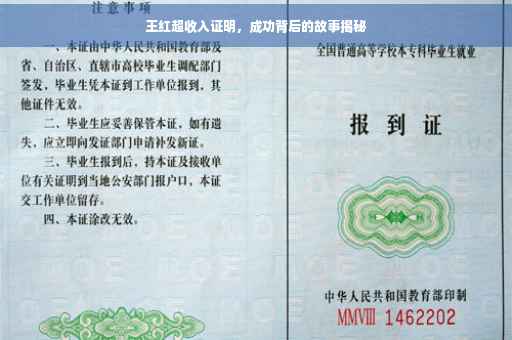 王红超收入证明，成功背后的故事揭秘