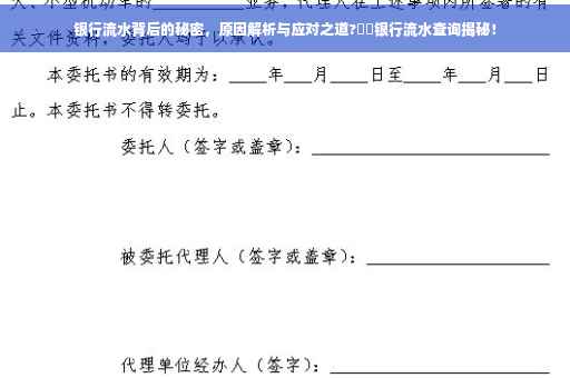 银行流水背后的秘密，原因解析与应对之道?⚡️银行流水查询揭秘！