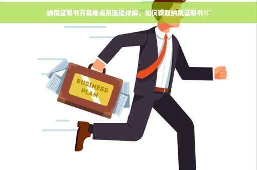 纳税证明书开具地点及流程详解，如何获取纳税证明书?✨