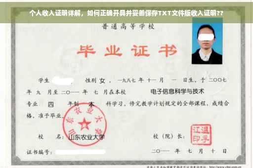 个人收入证明详解，如何正确开具并妥善保存TXT文件版收入证明??