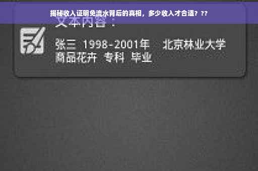 揭秘收入证明免流水背后的真相，多少收入才合适？??