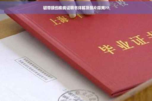 韧带损伤疾病证明书详解及图片指南??