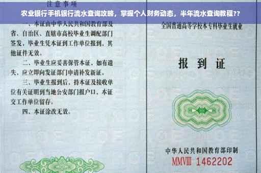 农业银行手机银行流水查询攻略，掌握个人财务动态，半年流水查询教程??