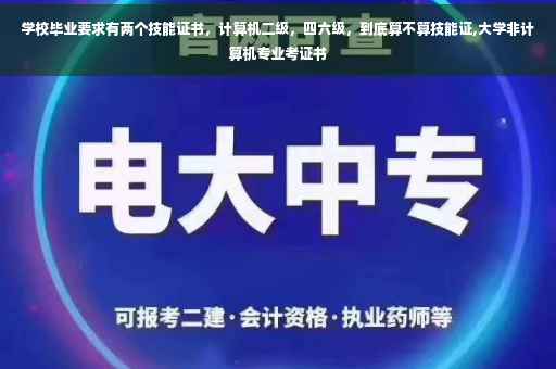 学校毕业要求有两个技能证书，计算机二级，四六级，到底算不算技能证,大学非计算机专业考证书