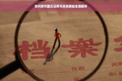 如何撰写履历证明书及其模板全面解析
