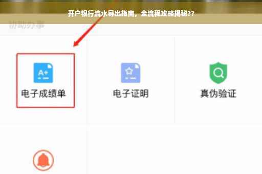 开户银行流水导出指南，全流程攻略揭秘??