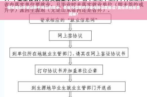 揭秘美标质量证明书背后的故事，质量与信誉的双重保障深度解读?美标质检报告揭秘?