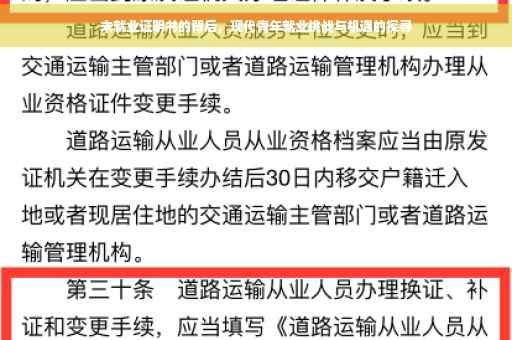 未就业证明书的背后，现代青年就业挑战与机遇的探寻