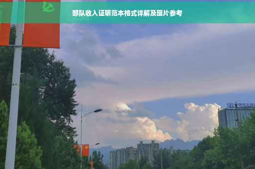部队收入证明范本格式详解及图片参考